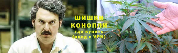 крисы Богданович