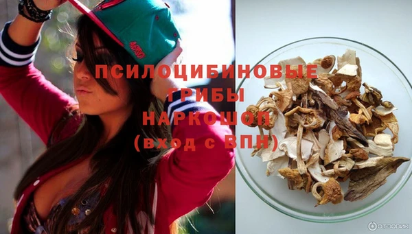 дурь Аша