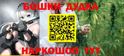 стафф Кингисепп