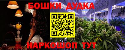 стафф Кингисепп