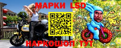 стафф Кингисепп