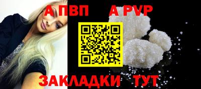 стафф Кингисепп