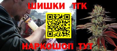 стафф Кингисепп