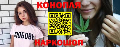 стафф Кингисепп
