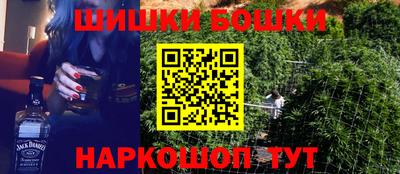 стафф Кингисепп