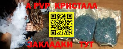 стафф Кингисепп
