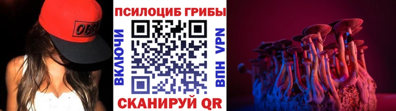 Псилоцибиновые грибы мицелий MEGA ссылки Моздок