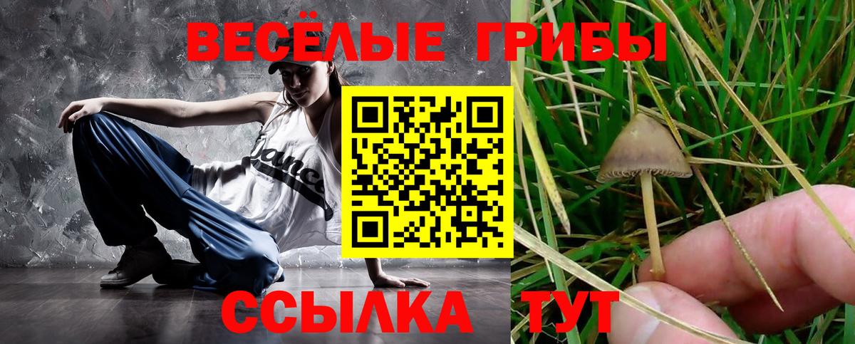 Моздок  как найти наркотики  Вход с VPN  Псилоцибиновые грибы Psilocybine cubensis 