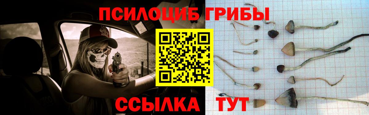 Галлюциногенные грибы Psilocybine cubensis Моздок