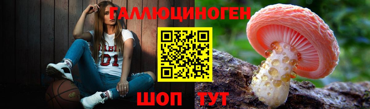 Галлюциногенные грибы прущие грибы  Галлюциногенные грибы мухоморы  Моздок 